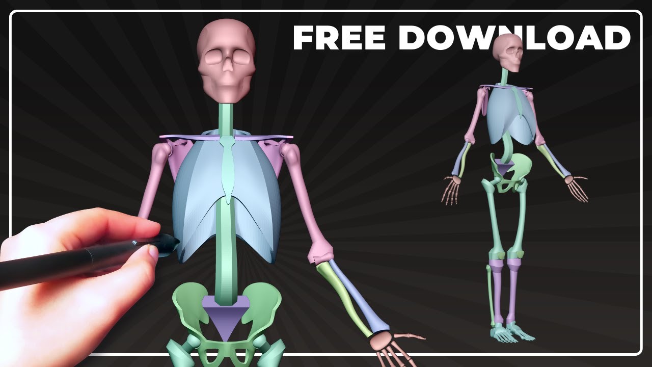Моделирование упрощённого скелета человека | Blender 3D
