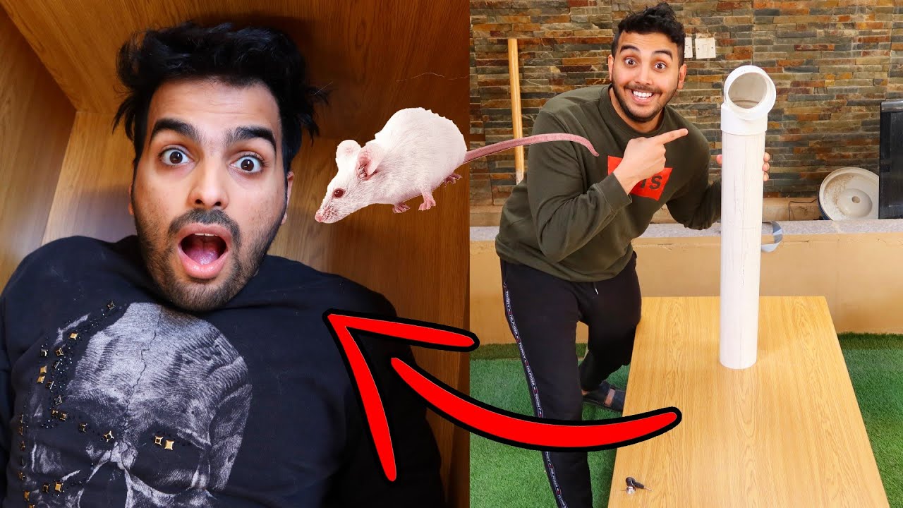 اقوى مقلب في تاريخ اليوتيوب ! دخلت فيران على اخوي 😨