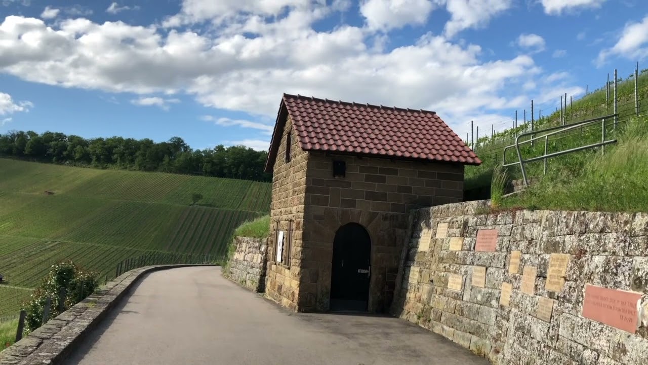 Weibertreu