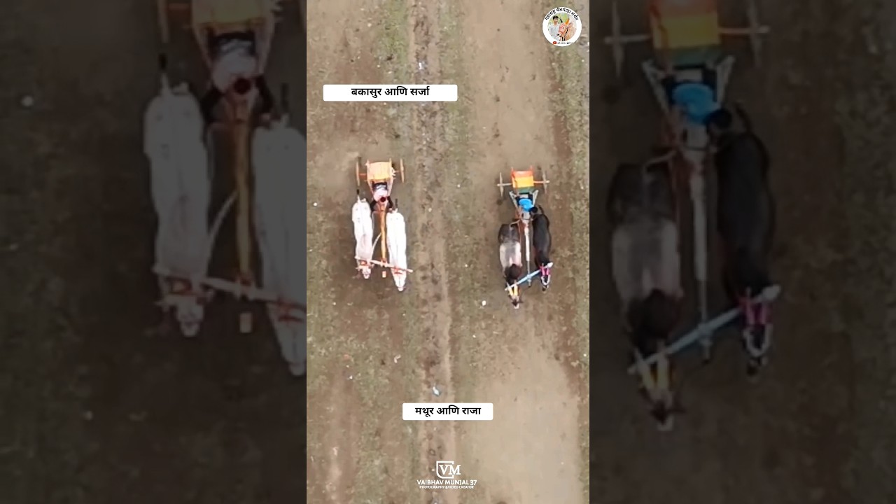 Bakasur and Sarja VS Mathur and Raja Pedgaon Hindkesari Ground Semi Final 2 It was a really tough fight, #bakasur