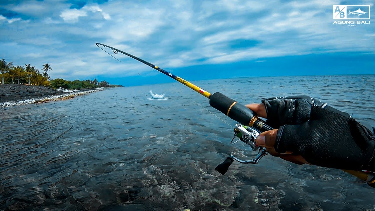 seketika panik!!! reel menjerit saat ikan jackpot menyambar umpan softlure | mancing pinggiran