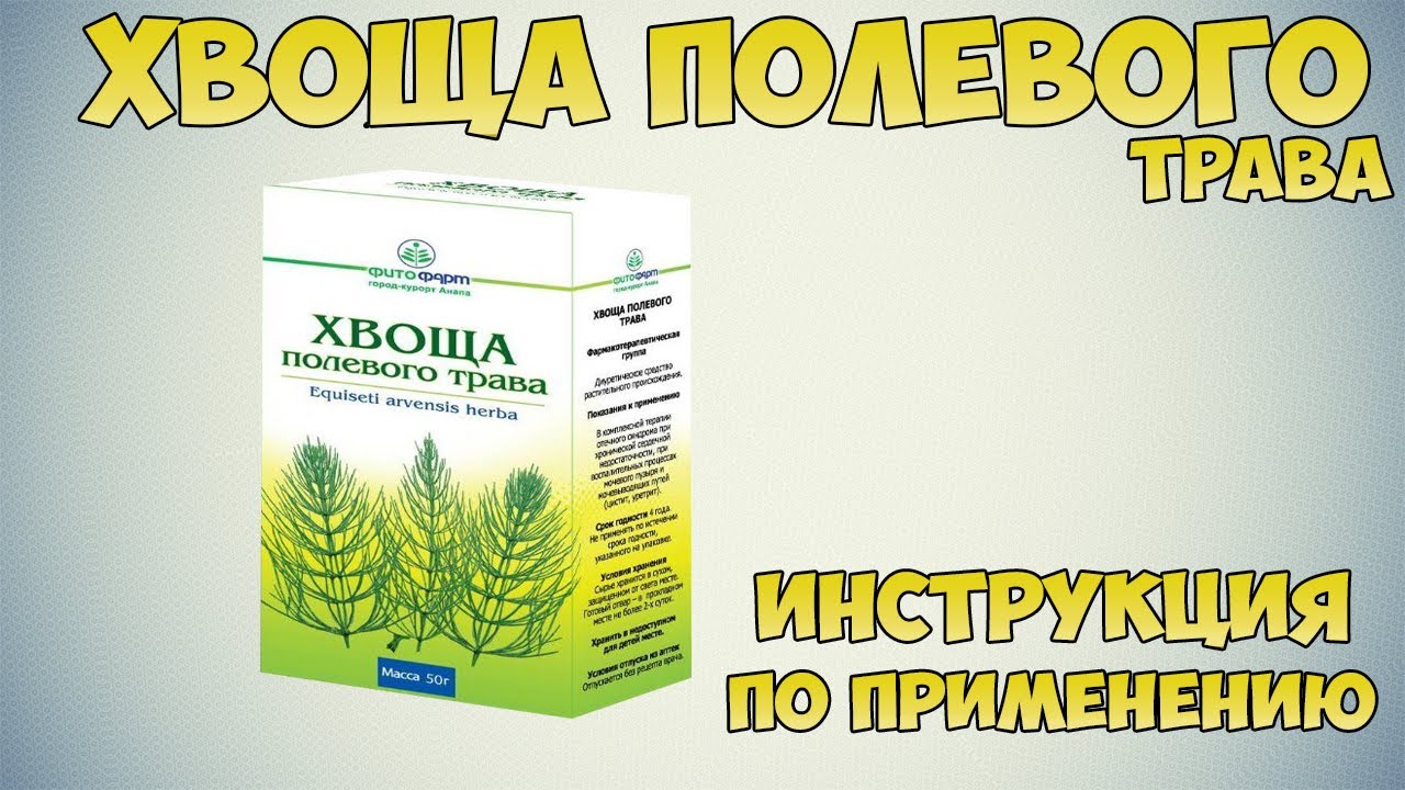 Хвоща полевого трава инструкция по применению препарата: Показания, как применять, обзор препарата