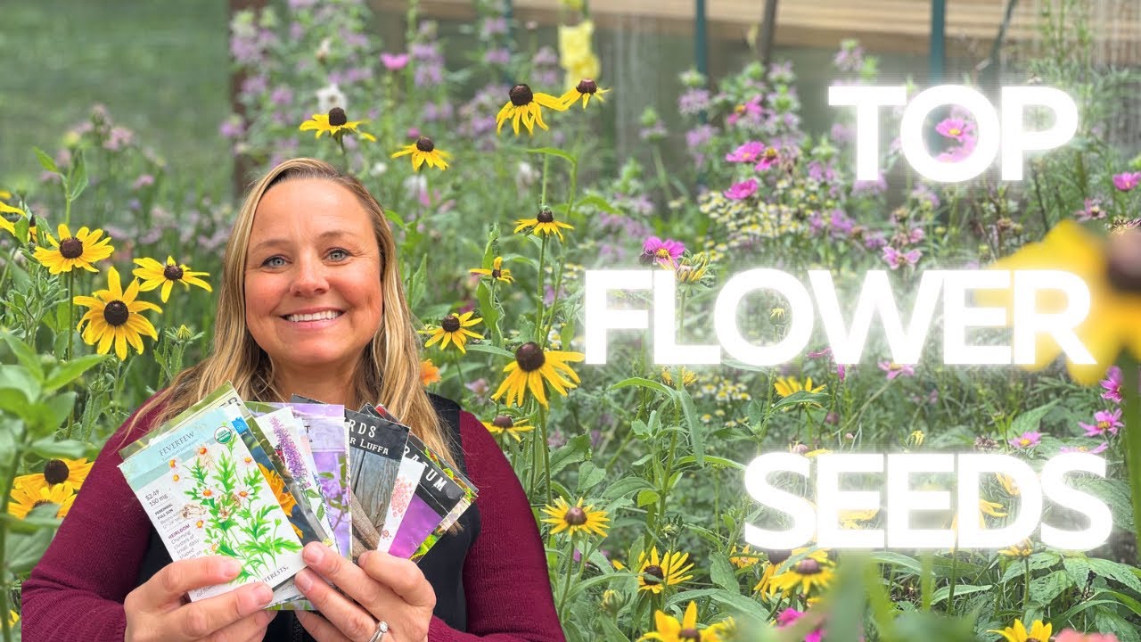 The Best Flower Seeds I’ve Ever Grown + New Seeds I’m Trying This Year! 🌸 | The Southern Daisy