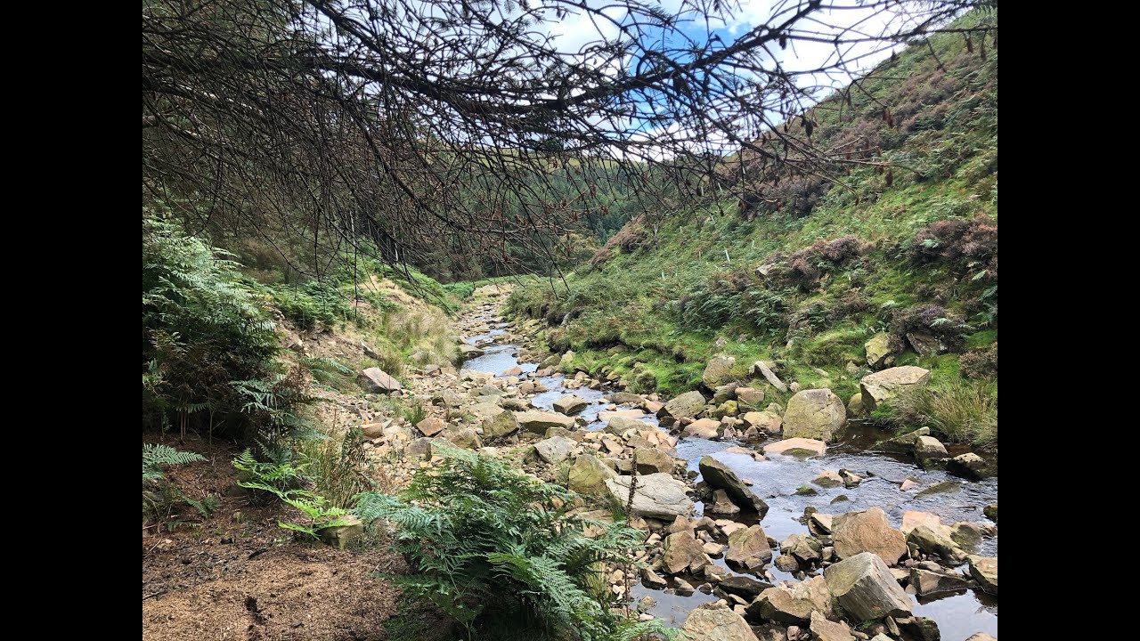 Snake pass Woodland Wild camp