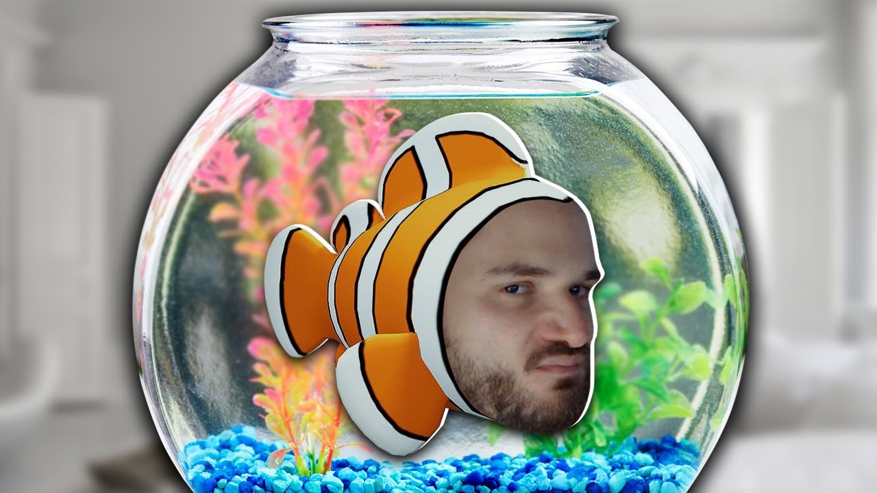24 HORAS VIVENDO COMO UM PEIXE E TENTANDO NÃO MORRER! - I Am Fish