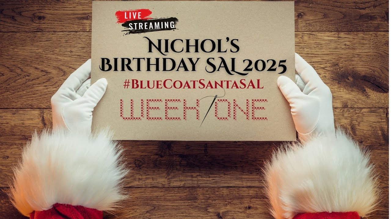 Blue Coat Santa Stitch Along | Week 1