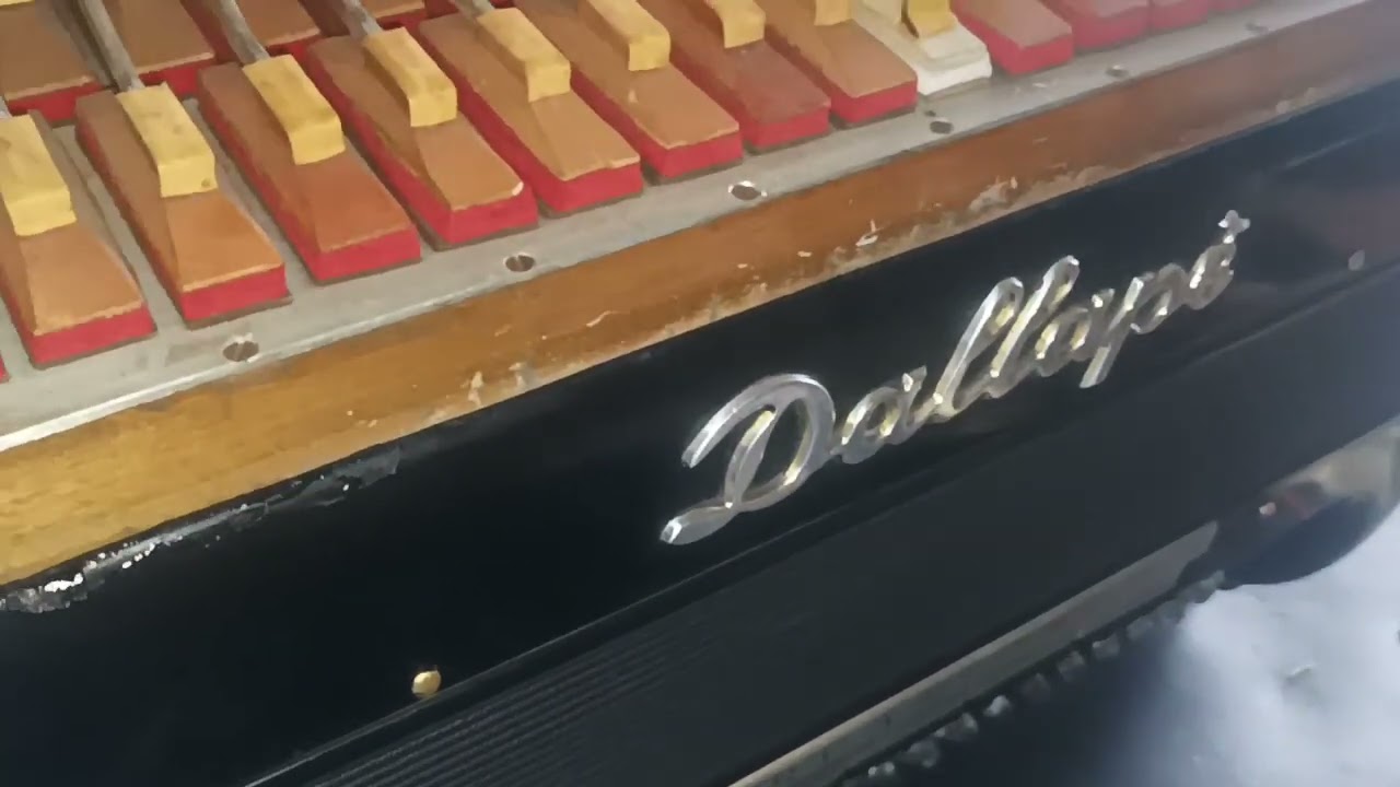 Dallape 993A ORGANTONE Stradella.Procitajte opis.Pazite ko vam radi oko vase vama drage harmonike.🍀👌