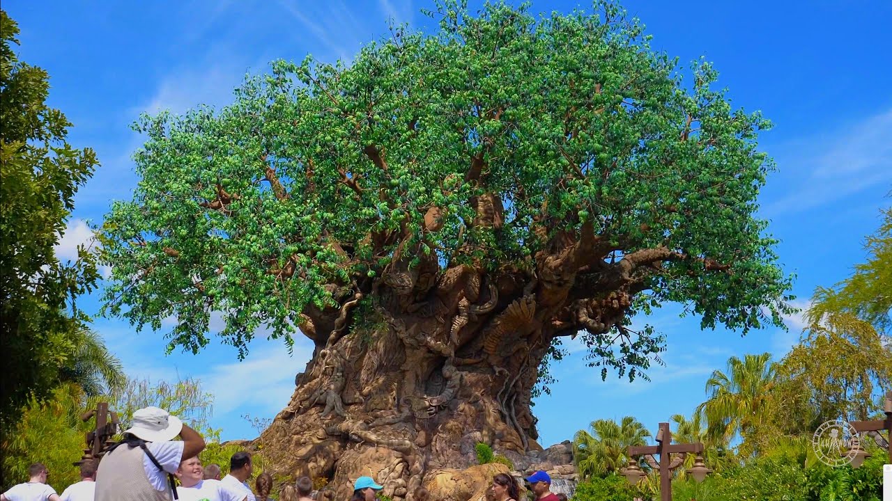 Disney's Animal Kingdom 2020 Tour & Walkthrough in 4K | Walt Disney World Orlando Florida