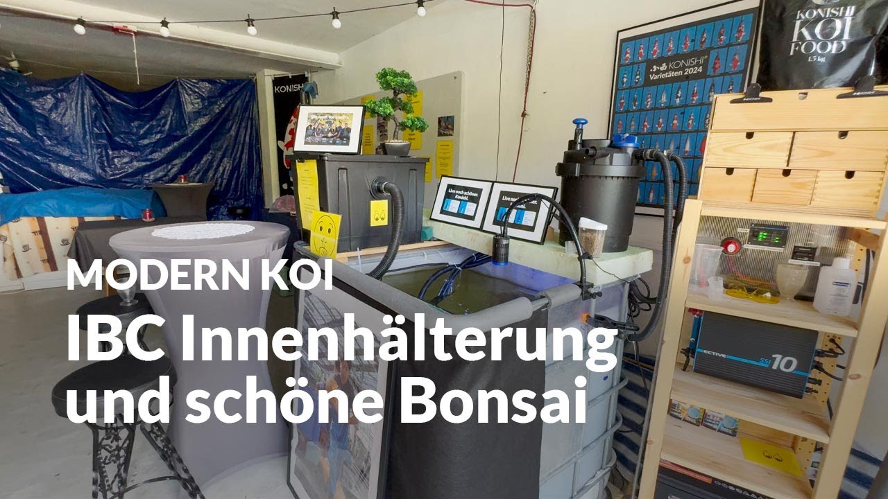 Ina und Heikos Innenhälterung  | Modern Koi Blog #7131