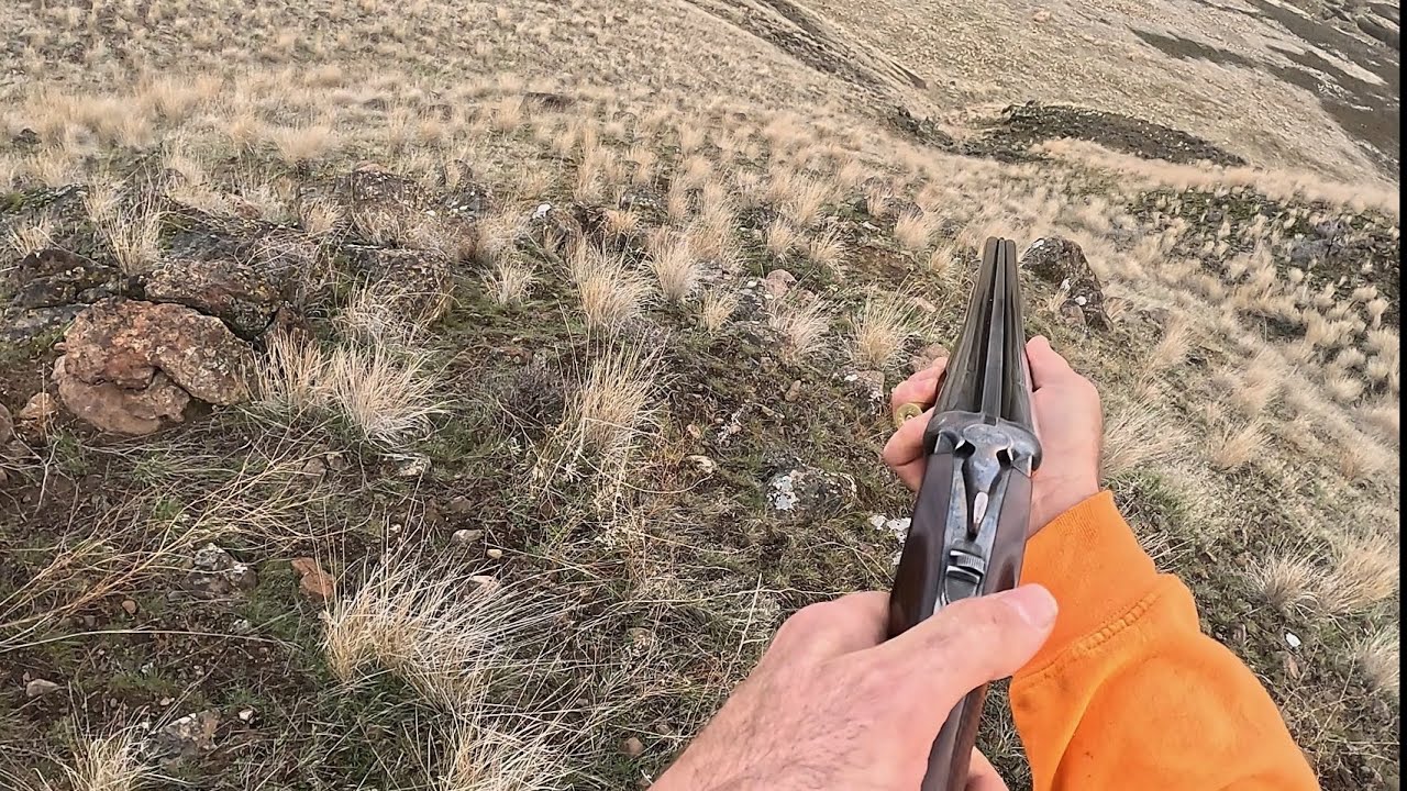 Last chukar of the season 
