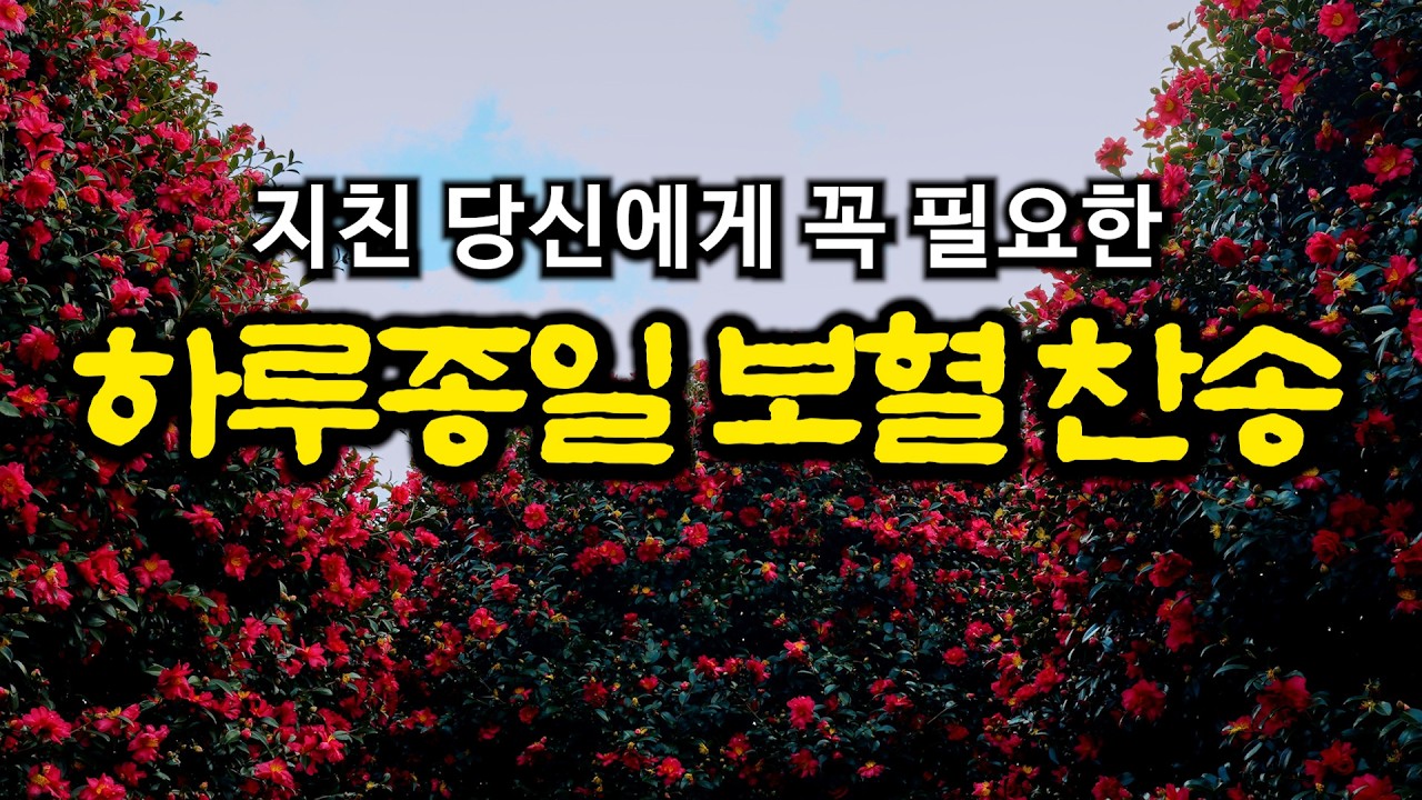 [보혈찬송모음] 인애하신 구세주여| 오늘의 말씀과 찬송 | 고백과 기도음악 | 기도와 명상 | 눈물로 기도하며 불렀던 그날의 찬양 | 새벽기도용 | 중간광고없음 | Hymn