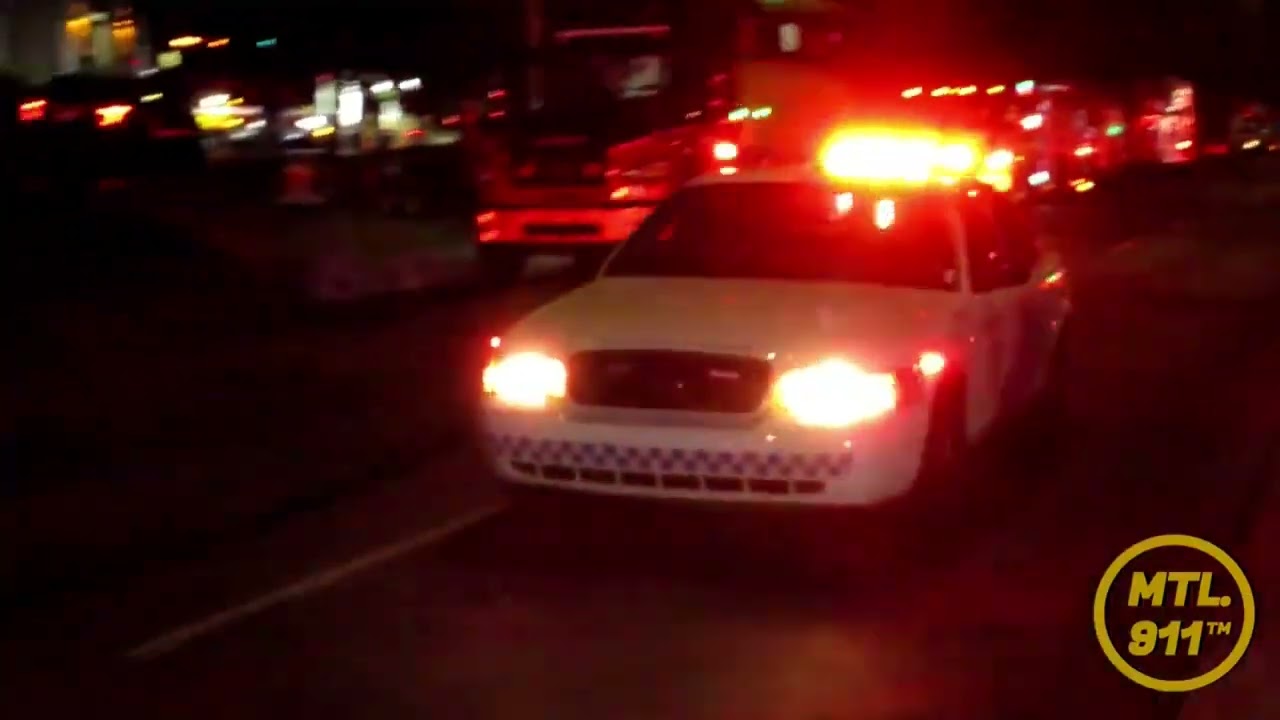Little Dark Age - Ford Police Sedans