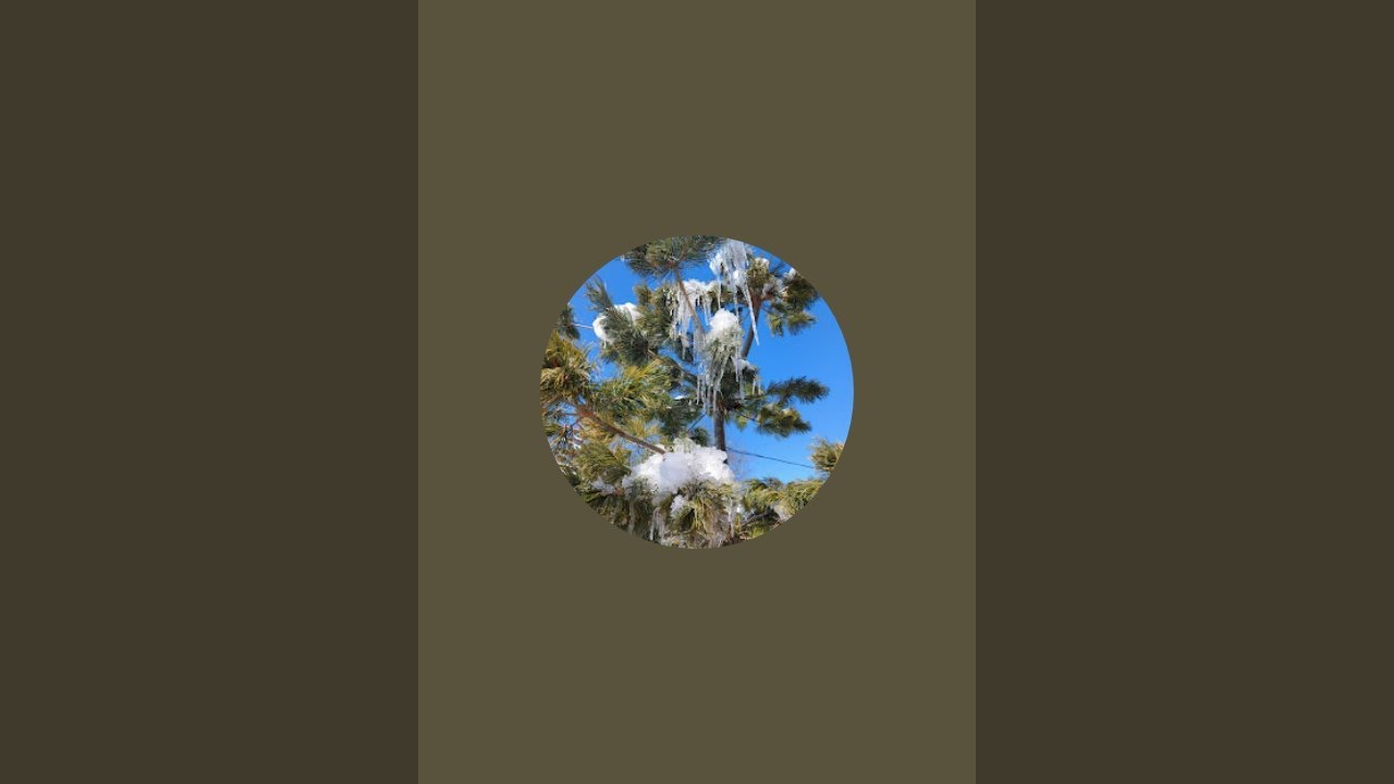 BIOPHILIA is live! May your afternoon be filled with sunshine and happiness💫