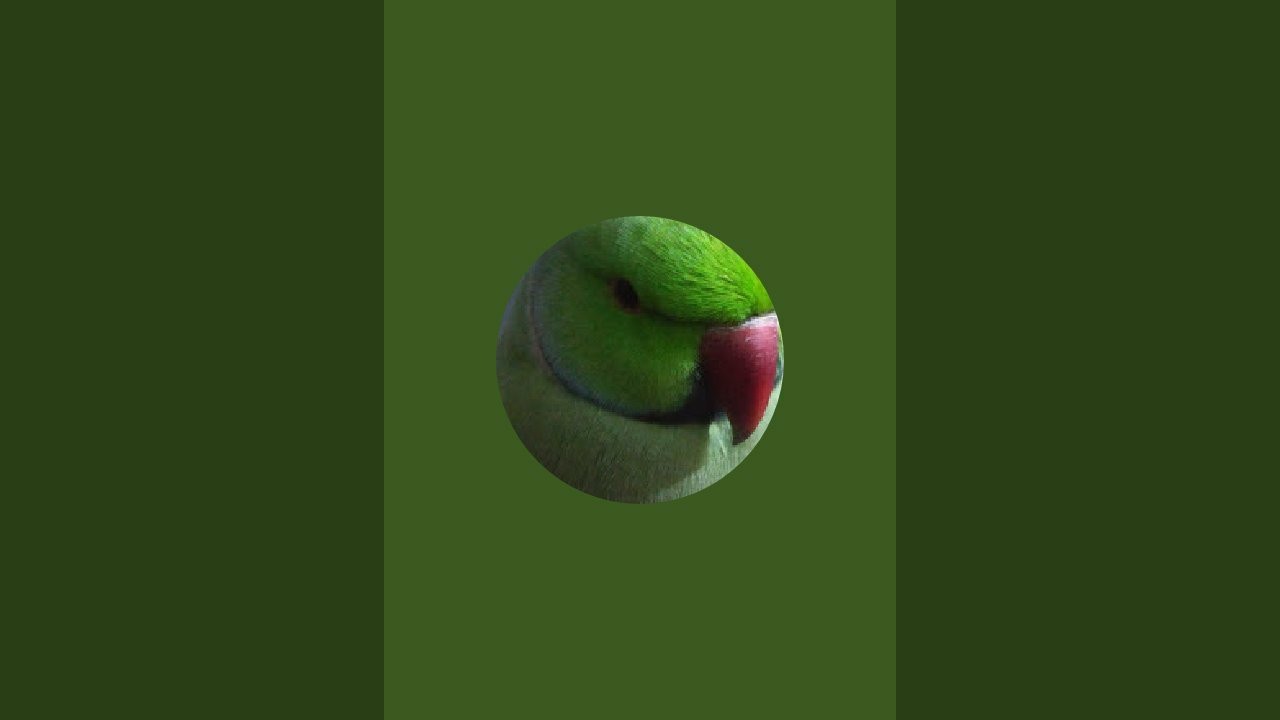 Kuku Kajal Kanak  is live