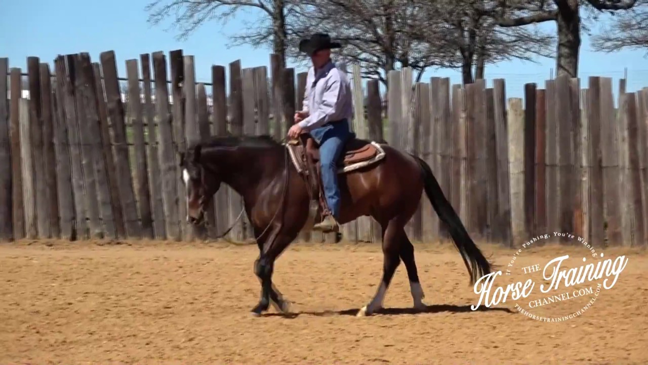 Instantly Improve Your Horse's Lope