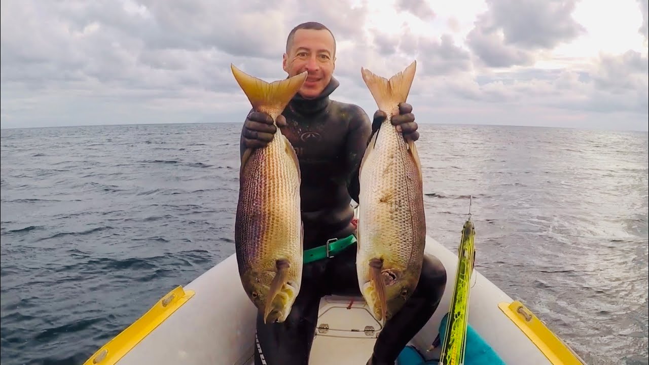 Spearfishing Dentex summer/autumn 2024 Part-2 @Neptunus-NS #dentex #spearfishing #greece