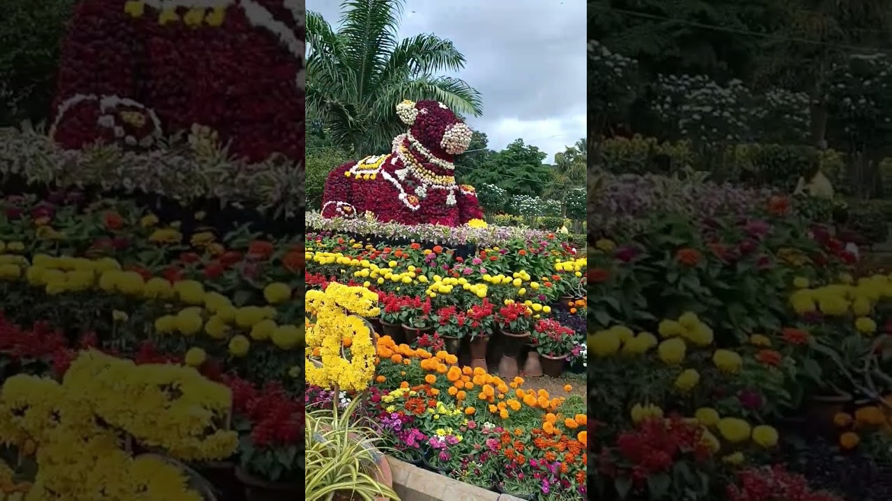 flower show dasara 2025 mysore
