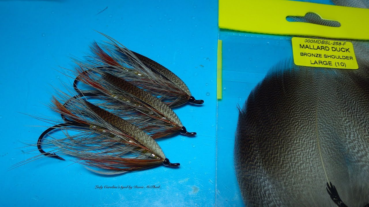 Tying on Bronze Mallard to get a Spey Style Wing with Davie McPhail