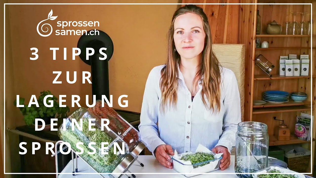 3 Tipps zur optimalen Lagerung deiner Sprossen- so halten sich Sprossen bis zu 2 Wochen lang frisch!