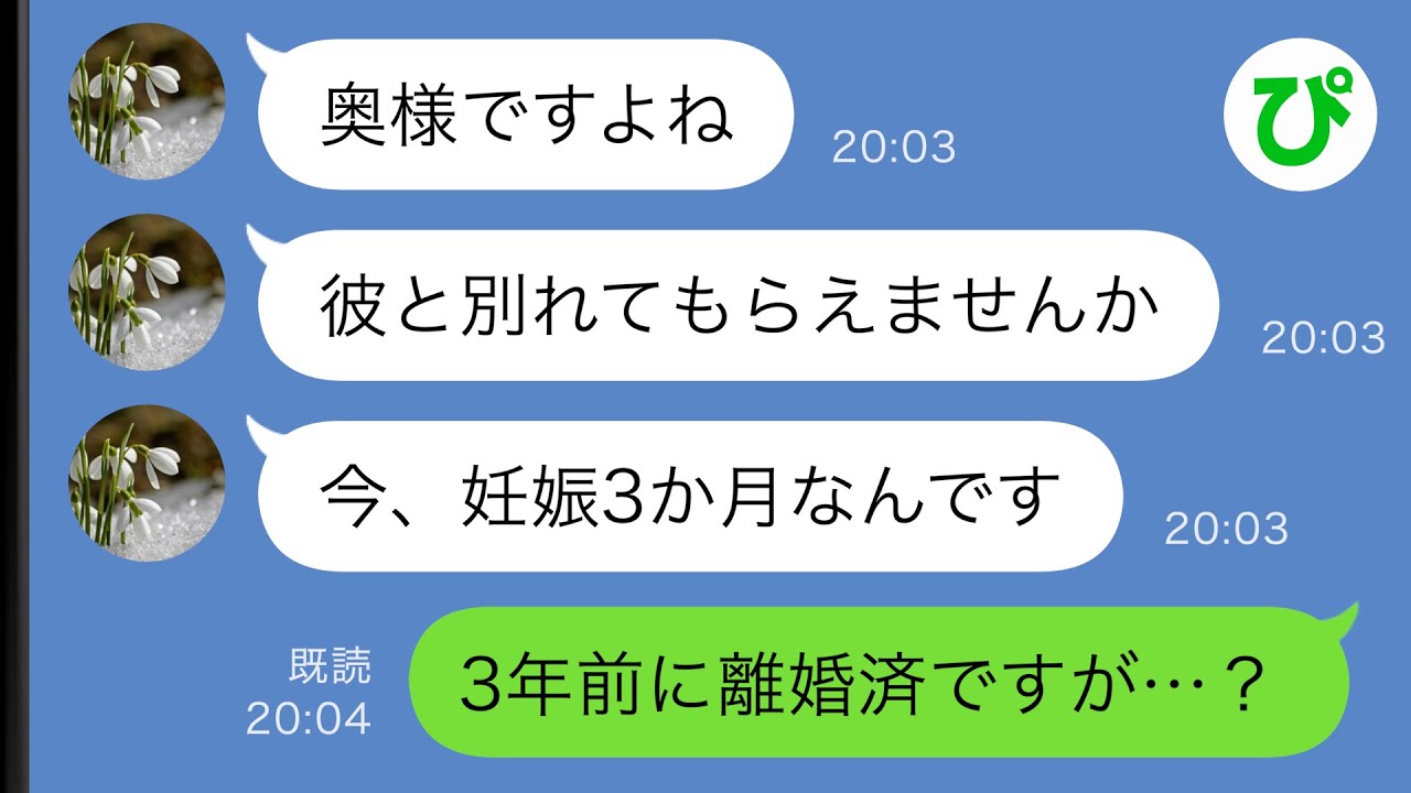 【LINE】夫の愛人と名乗る女性が突然「妊娠3か月なんです！彼と別れてください！」→とんでもない勘違いをしているようなので”ある事実”を伝えた結果…ｗｗ【スカッと修羅場】