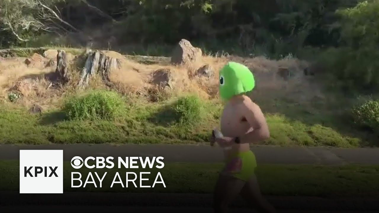 Bay to Breakers in San Francisco draws thousands of runners decked out in costumes