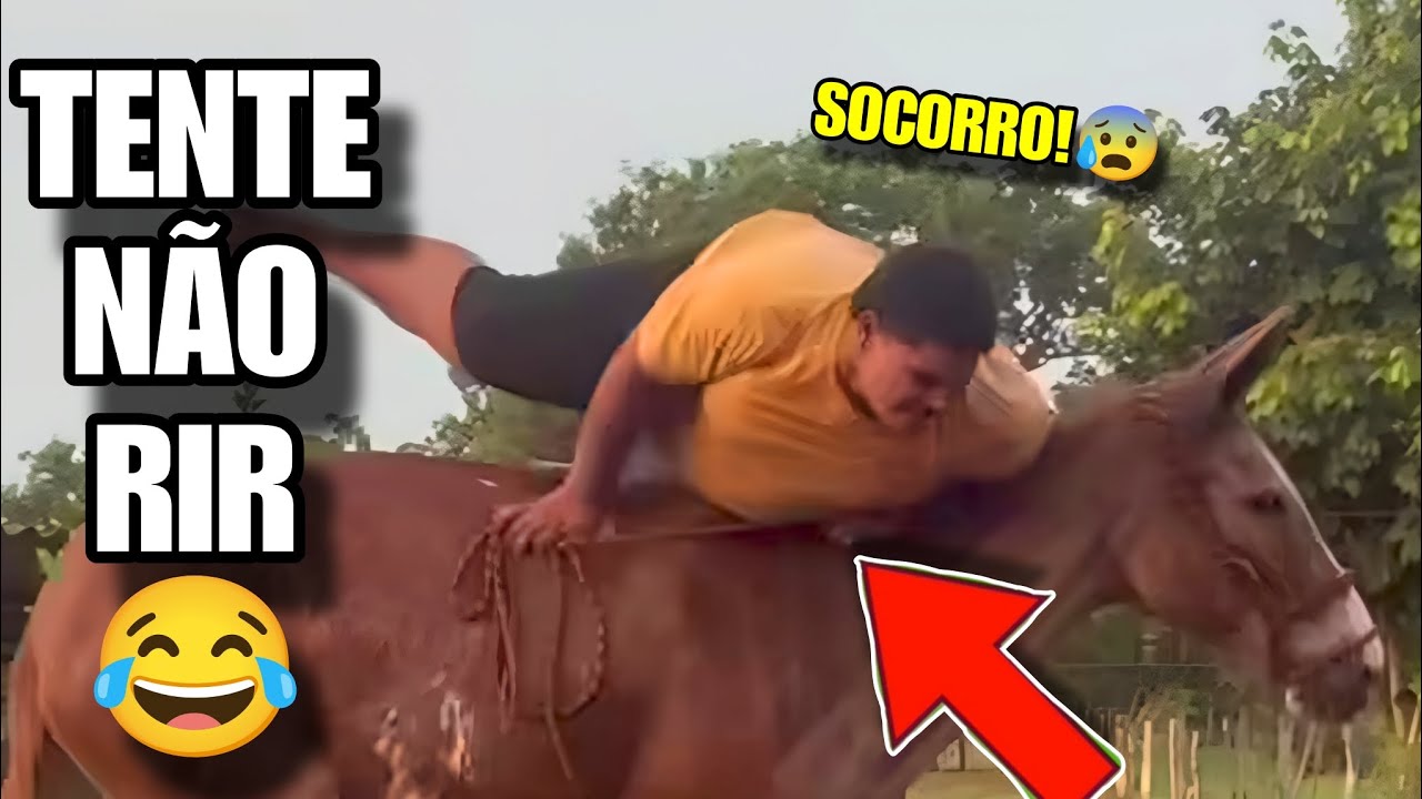 TENTE NÃO RIR: OS MELHORES MEMES DA INTERNET #videosengracados #humor #comedia #memes #tentenaorir 