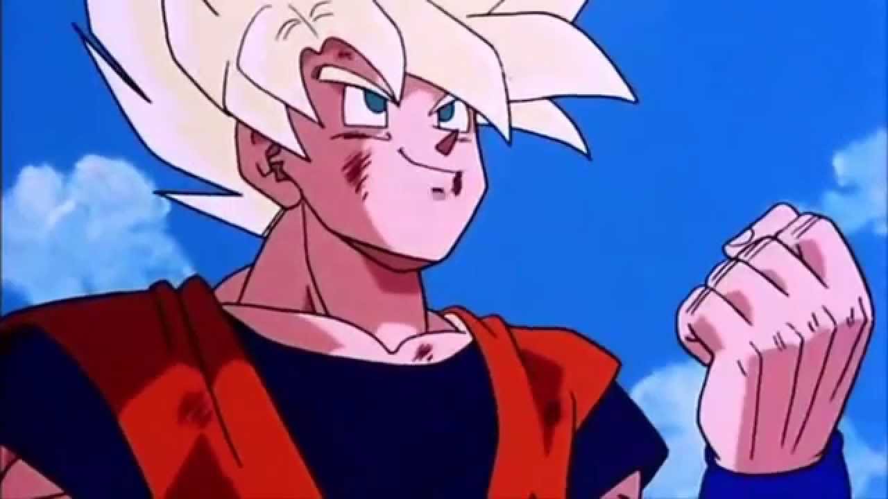 Why Didn't Goku Return To The Hyperbolic Time Chamber ?