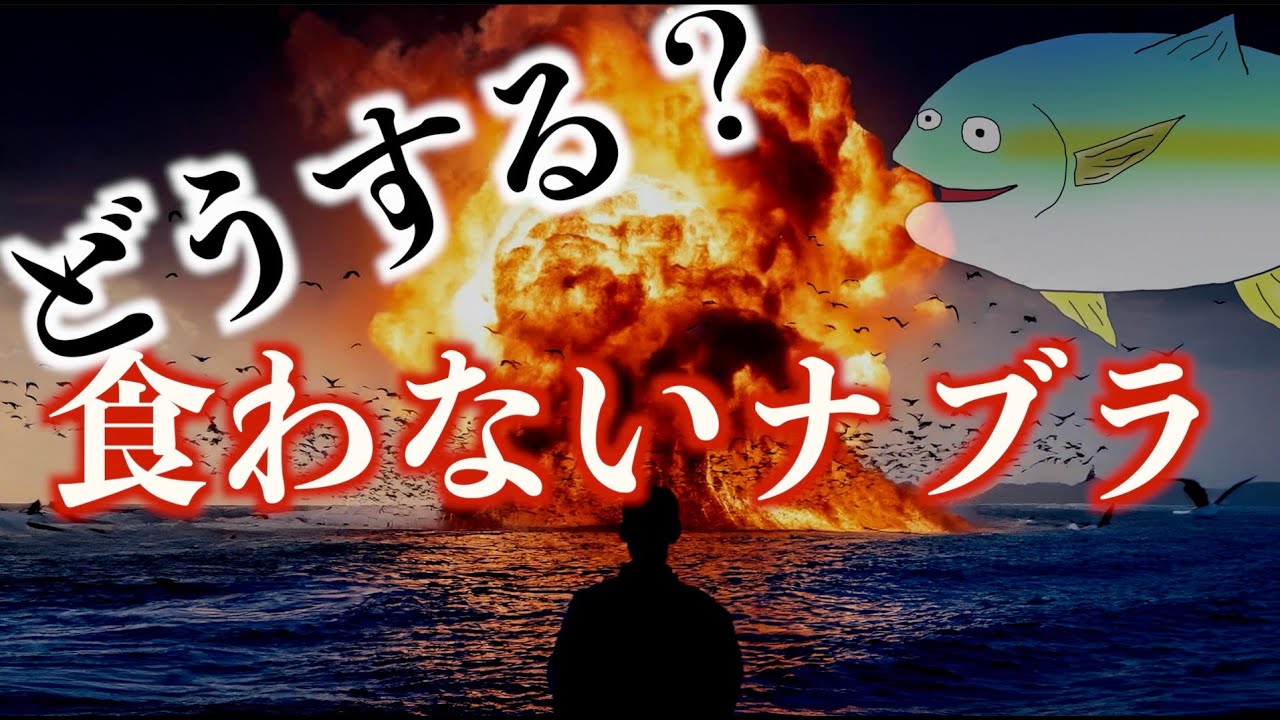 なぜ食わないナブラがあるのか、どうすれがいいのか。ナブラ攻略法