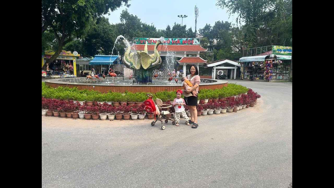 Sữa 3y+ Xoài 9m Đi Vườn Bách Thú HN năm 2024