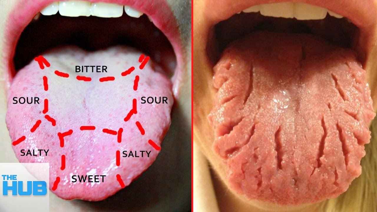 10 Things Science Got Totally Wrong