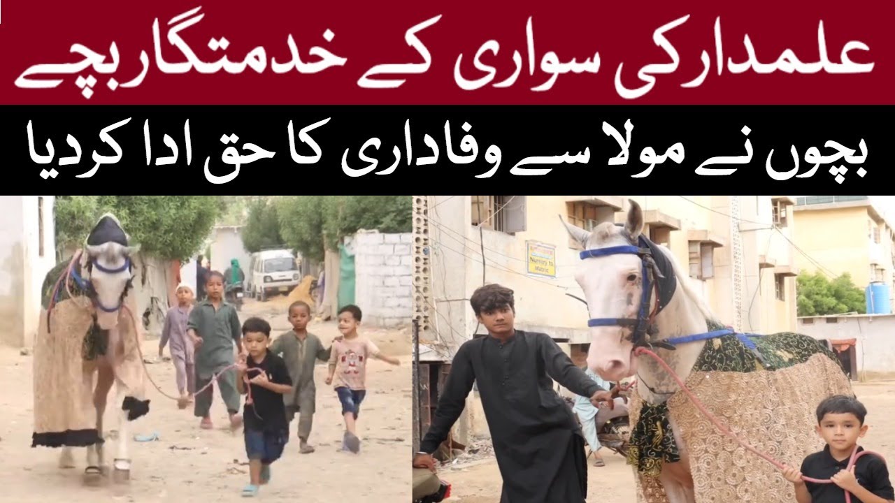 Young Devotees of Zuljanah Hazrat Abbas Alamdar | Best Zuljinah & Azadar | Ashura Muharram | Duldul