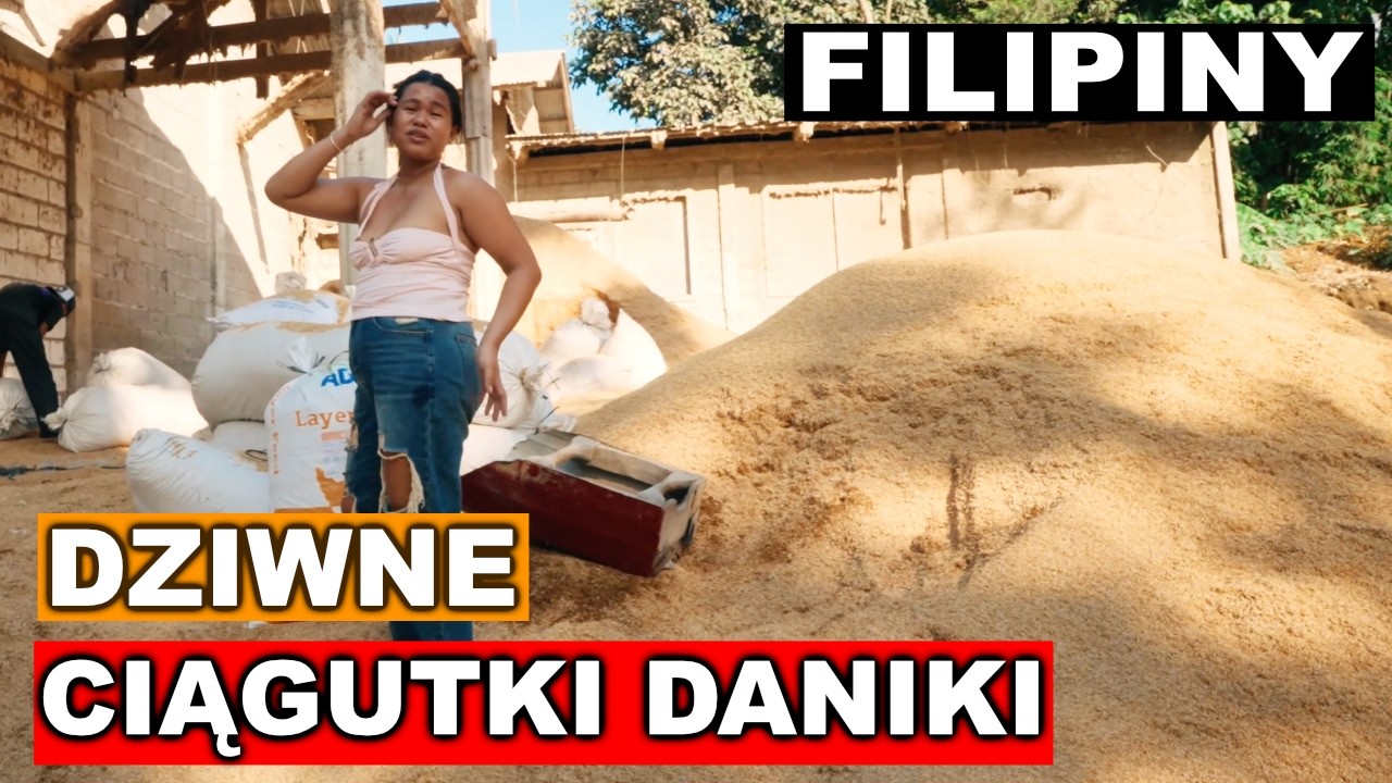Zmiany w Rajskim Kurniku | 🇵🇱 FILIPINY 🇵🇭