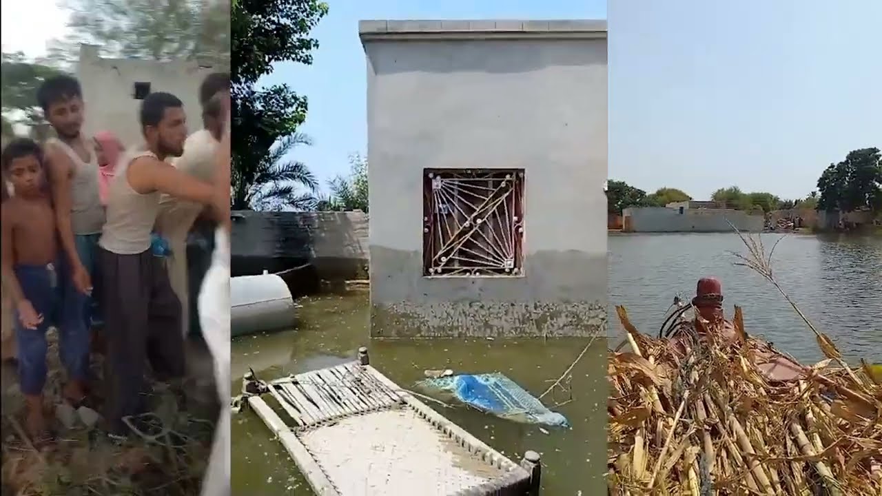 Projects of Umme habiba Welfare Trust || Lahore