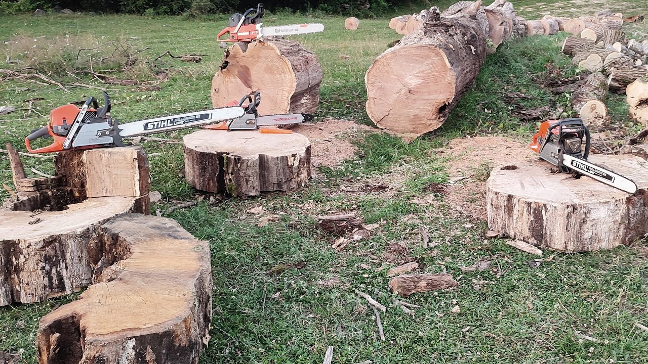 Husqvarna 592xp, 585, 372xp OE and Dolmar PS-9010 cutting big oak