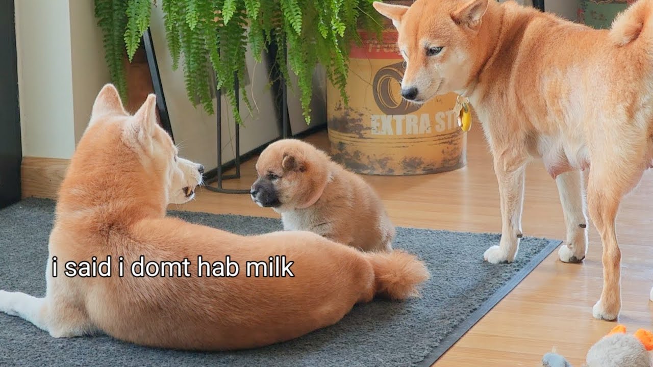 *Вы были предупреждены*