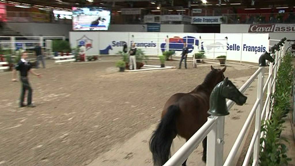 Vigo Cécé Vice Champion de France des 2 ans