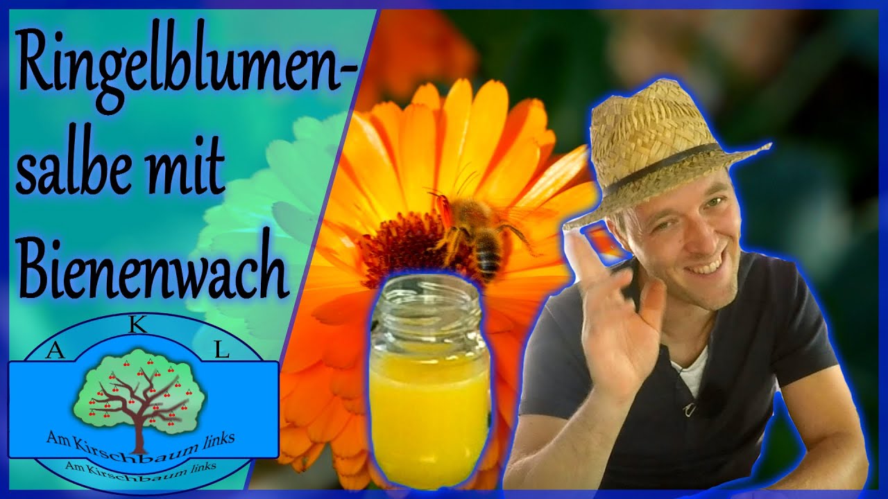 Ringelblumensalbe aus Kaltauszug mit Bienenwach - Calendula Salbe