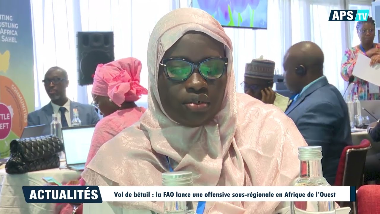 Vol de bétail : la FAO lance une offensive sous-régionale en Afrique de l’Ouest