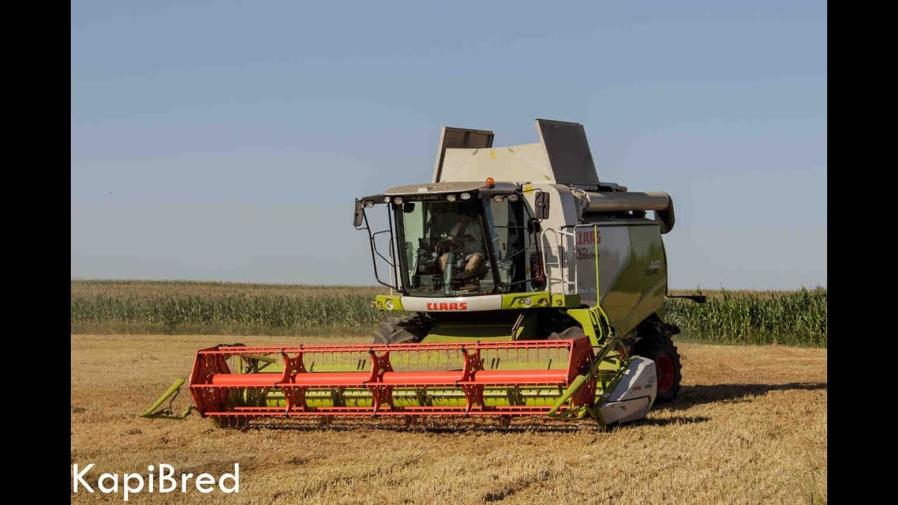 Żniwa 2017 - Nowy Nabytek - Claas Tucano 440
