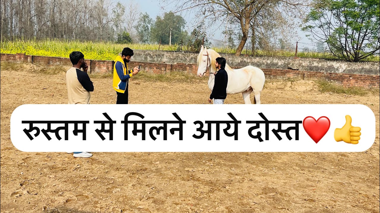 हमारे घोड़े रुस्तम से मिलने आये हमारे दोस्त👍#horse