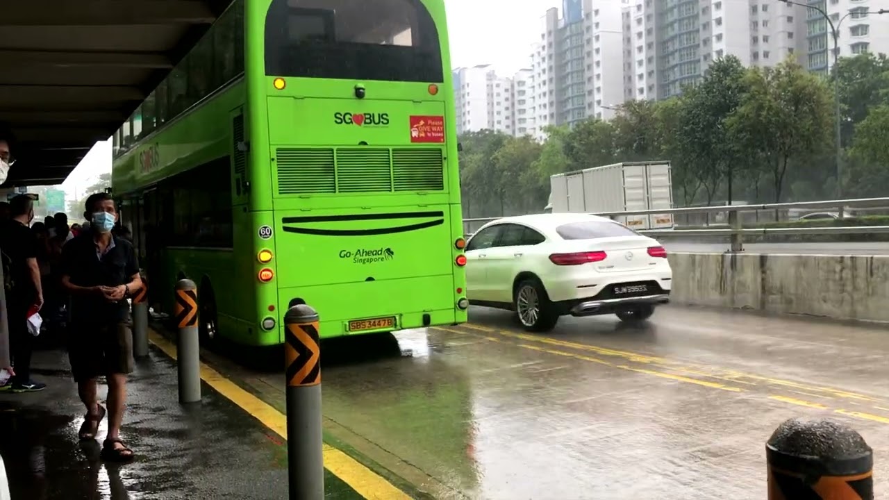 Weekend Bus Spotting (Compilation) Part 2