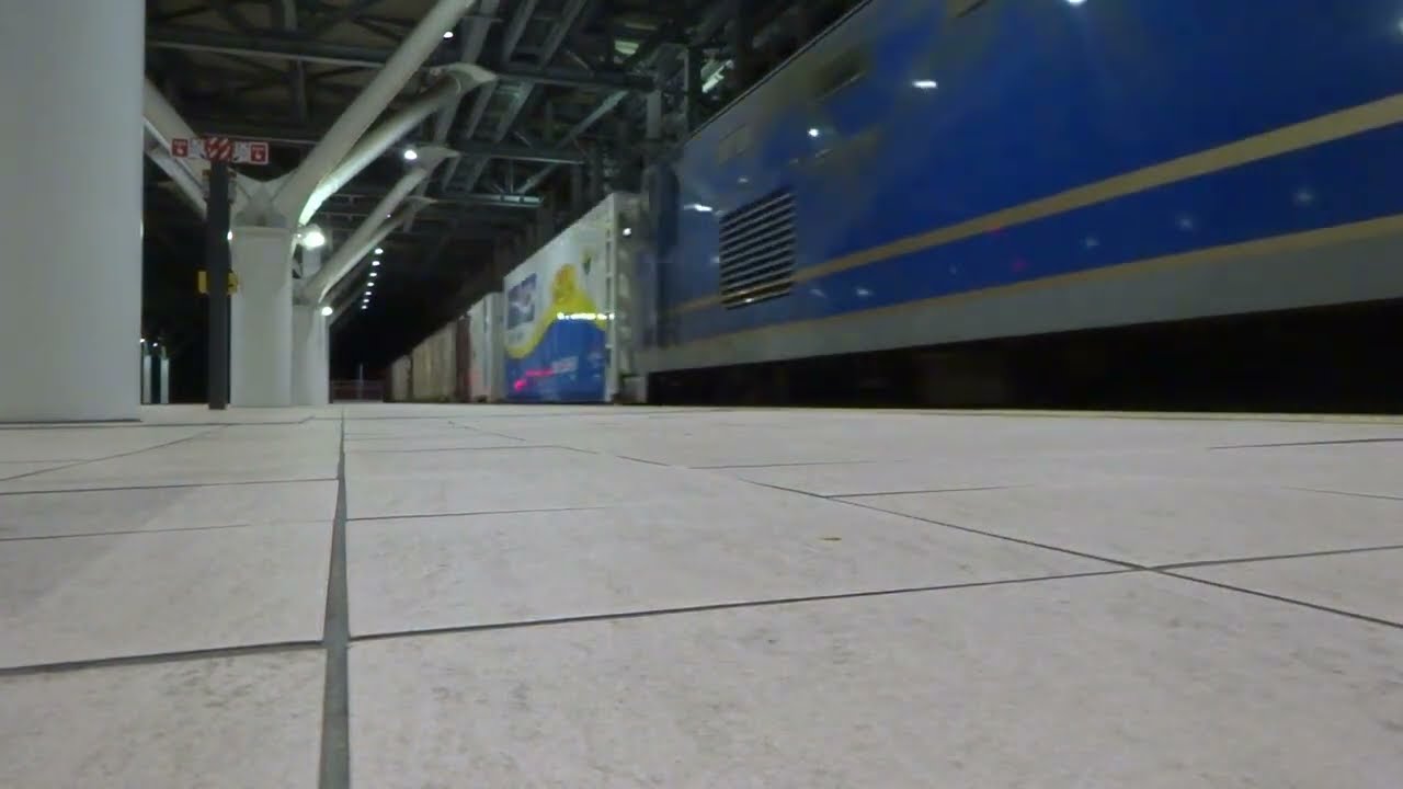 【JR貨物】3099レ富山駅通過。機関車後方にあの方のコンテナが！