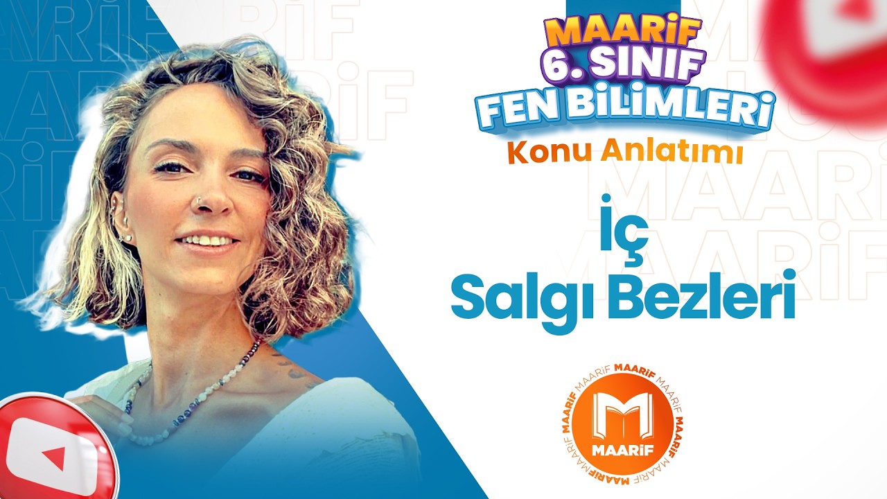 İç Salgı Bezleri | 6. Fen Bilimleri | Maarif Modeli | Ders 13