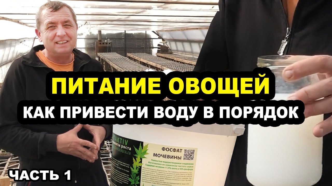 Питание овощей. Как привести воду в порядок. Часть1