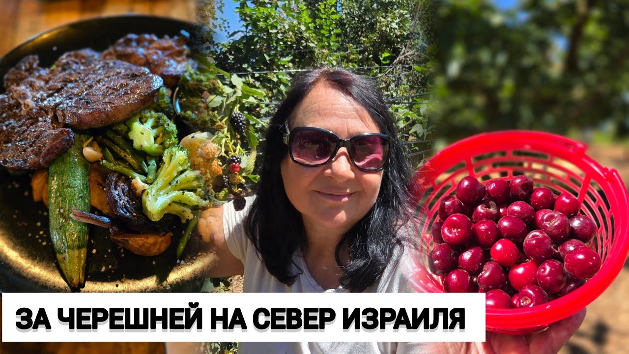 СЕВЕР ИЗРАИЛЯ. Одем. Черешня, вино и лучшие стейки