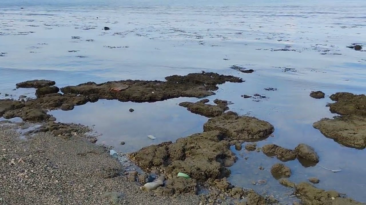 #ocean