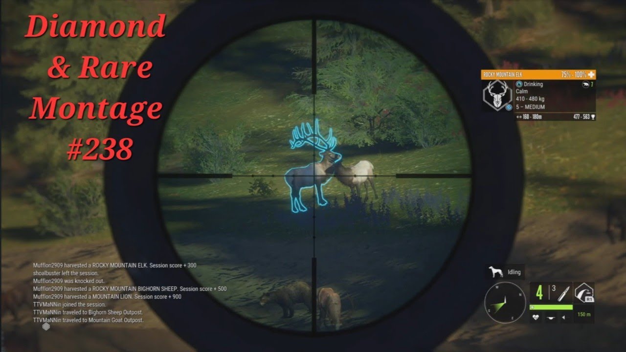 Diamond and Rare Montage #238 | TheHunter Call of the Wild Montage