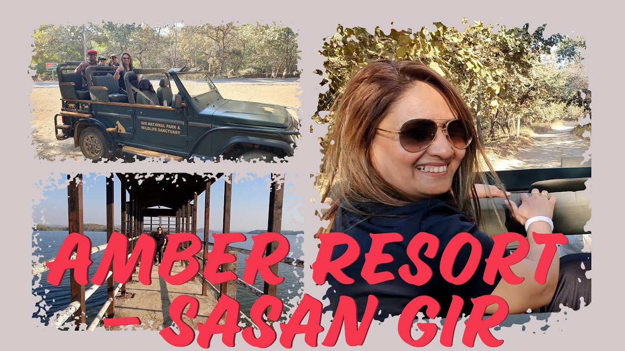 Luxurious Stay at Amber Resort Sasan Gir | Gir Forest Travel Guide & Wildlife Experience