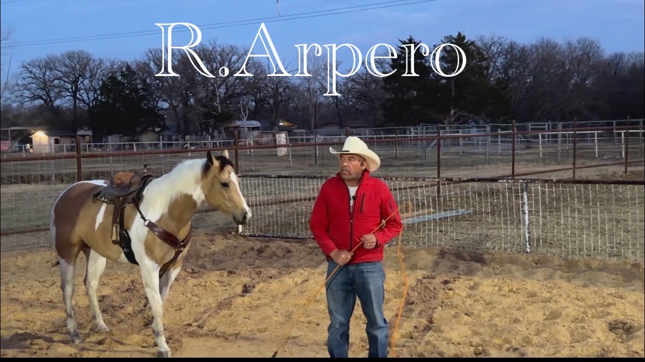 Roberto Arpero 