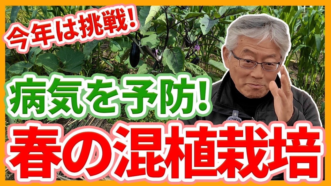 家庭菜園や農園の春夏野菜栽培は混植栽培で病気予防！一緒に植えるとメリットのある野菜と春夏野菜の育て方！【農家直伝】